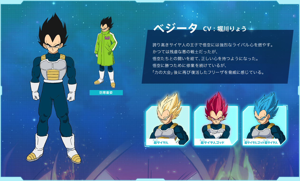 49860-vegeta-profile-dbsb
