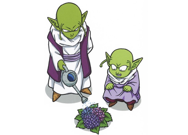 DENDE Y ESCA
