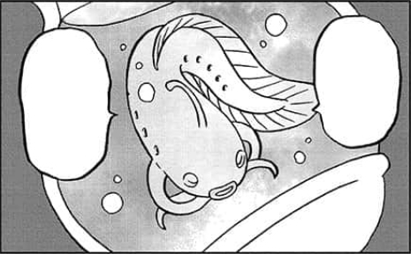 Oracle fish dreaming