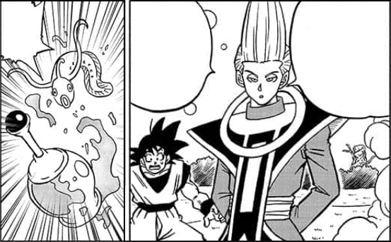 Pez oráculo, Goku y Whis